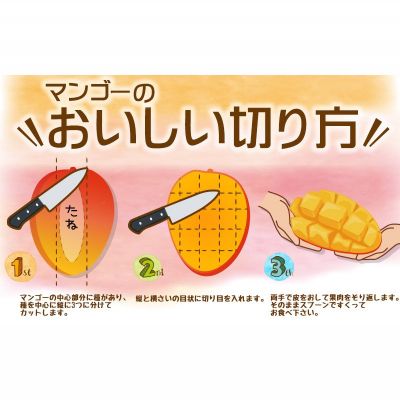 【ふるさと納税】【2026年夏発送】もとぶ町産マンゴー（贈答用）約2kg詰め フルーツ 南国 くだもの おすすめ 果物 プレゼント 沖縄 人気 期間限定 お土産 おきなわ 冷蔵 数量限定 おみやげ 青果 夏 先行予約 ギフト デザート スイーツ サムネイル2