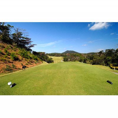 【ふるさと納税】宜野座カントリーゴルフクラブ　セルフプレー招待券「2名」 大自然 解放感 海を望むコース 戦略性 爽快感 緊張感 リズムバランス 丘陵地 優美 レイアウト ワクワク ドキドキ ドラマ クラブハウス ロッカールーム レストラン グッズショップ バスルーム 至福 - 画像3