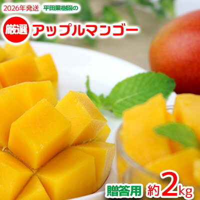 【2026年発送】平田果樹園の厳選アップルマンゴー贈答用（約2kg） アーウィン 果物 甘い 夏 濃厚 ギフト Mango ランキング 完熟 お気に入り 美味しい 人気 おすすめ フルーツ 沖縄県 先行予約 食品 デザート 産地直送 送料無料