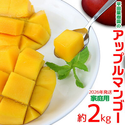 【2026年発送】平田果樹園のアップルマンゴー家庭用（約2kg） アーウィン 果物 甘い 夏 濃厚 ギフト Mango ランキング 完熟 お気に入り 美味しい 人気 おすすめ フルーツ 沖縄県 先行予約 食品 人気 産地直送 送料無料