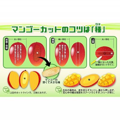 【ふるさと納税】【2026年発送】平田果樹園のアップルマンゴー家庭用（約2kg） アーウィン 果物 甘い 夏 濃厚 ギフト Mango ランキング 完熟 お気に入り 美味しい 人気 おすすめ フルーツ 沖縄県 先行予約 食品 人気 産地直送 送料無料 サムネイル3