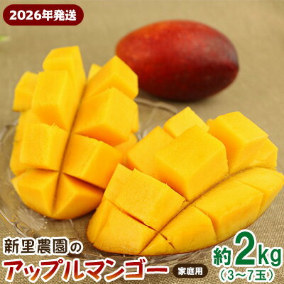 【2026年発送】新里農園のアップルマンゴー家庭用（約2kg） 農家さん直送 アーウィン 果物 甘い 夏 濃厚 ギフト Mango ランキング 完熟 お気に入り 収穫 人気 フルーツ 沖縄県 先行予約 デザート 甘味 産地直送 送料無料
