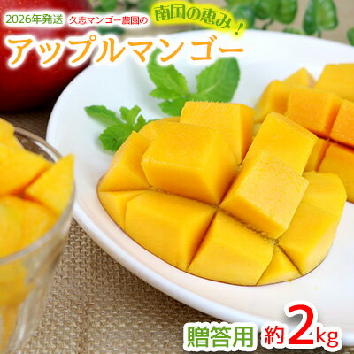 【2026年発送】南国の恵み！久志マンゴー農園のアップルマンゴー贈答用（約2kg） アーウィン 果物 甘い 夏 濃厚 ギフト Mango ランキング 完熟 お気に入り 美味しい 人気 甘味 フルーツ 沖縄県 先行予約 食品 デザート 産地直送 送料無料
