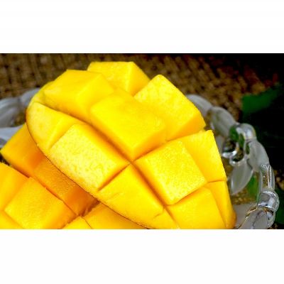 【ふるさと納税】【2026年発送】南国の恵み！久志マンゴー農園のアップルマンゴー贈答用（約2kg） アーウィン 果物 甘い 夏 濃厚 ギフト Mango ランキング 完熟 お気に入り 美味しい 人気 甘味 フルーツ 沖縄県 先行予約 食品 デザート 産地直送 送料無料 サムネイル2