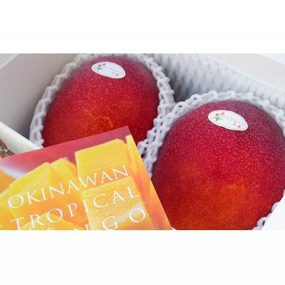 【ふるさと納税】【2026年発送】県知事賞受賞　サンフルーツ糸満　マンゴー秀品　約1kg 産地直送 先行予約 フルーツ 果物 くだもの アップルマンゴー アップル アーウィン種 濃厚 デザート 贅沢 旬の果物 甘い おすすめ プレゼント 贈答 冷蔵 国産 沖縄 沖縄県産 サムネイル2