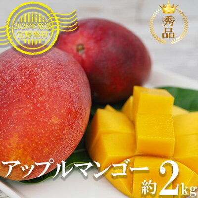 【2026年発送】マンゴーの拠点産地「宜野座村」の秀品アップルマンゴー（約2kg） アーウィン 果物 甘い 夏 濃厚 ギフト Mango ランキング 完熟 お気に入り 美味しい 人気 おすすめ 地元 沖縄県 先行予約 南国フルーツ デザート 産地直送 送料無料