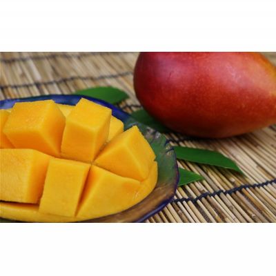 【ふるさと納税】【2026年発送】マンゴーの拠点産地「宜野座村」の秀品アップルマンゴー（約2kg） アーウィン 果物 甘い 夏 濃厚 ギフト Mango ランキング 完熟 お気に入り 美味しい 人気 おすすめ 地元 沖縄県 先行予約 南国フルーツ デザート 産地直送 送料無料 サムネイル3