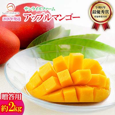 【2026年発送】令和6年最優秀賞サンライズファームのマンゴー贈答用　約2kg アーウィン 果物 甘い 夏 濃厚 ギフト Mango ランキング 完熟 お気に入り 収穫 人気 甘味 フルーツ 沖縄県 国産 食品 デザート 産地直送 宜野座村