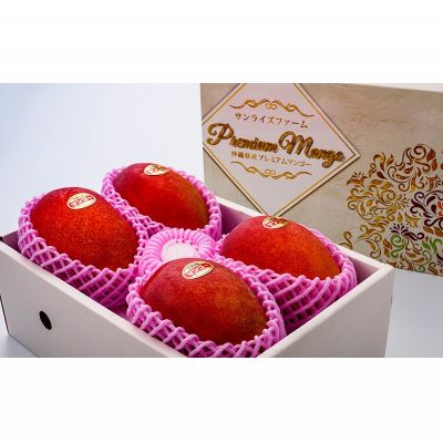 【ふるさと納税】【2026年発送】令和6年最優秀賞サンライズファームのマンゴー贈答用　約2kg アーウィン 果物 甘い 夏 濃厚 ギフト Mango ランキング 完熟 お気に入り 収穫 人気 甘味 フルーツ 沖縄県 国産 食品 デザート 産地直送 宜野座村 サムネイル2