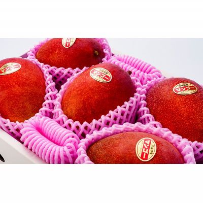 【ふるさと納税】【2026年発送】令和6年最優秀賞サンライズファームのマンゴー贈答用　約2kg アーウィン 果物 甘い 夏 濃厚 ギフト Mango ランキング 完熟 お気に入り 収穫 人気 甘味 フルーツ 沖縄県 国産 食品 デザート 産地直送 宜野座村 サムネイル3