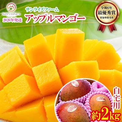 【2026年発送】サンライズファームのご自宅用マンゴー約2kg(4～6玉) アーウィン 果物 甘い 夏 濃厚 ギフト Mango ランキング 完熟 お気に入り 収穫 人気 甘味 フルーツ 沖縄県 国産 食品 デザート 産地直送 宜野座村