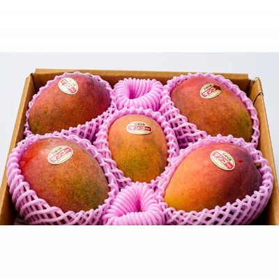 【ふるさと納税】【2026年発送】サンライズファームのご自宅用マンゴー約2kg(4～6玉) アーウィン 果物 甘い 夏 濃厚 ギフト Mango ランキング 完熟 お気に入り 収穫 人気 甘味 フルーツ 沖縄県 国産 食品 デザート 産地直送 宜野座村 サムネイル2