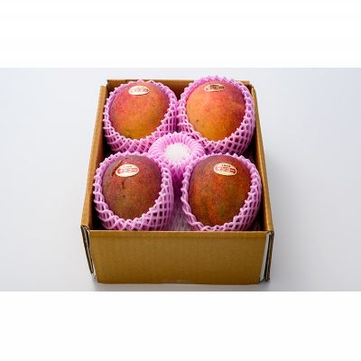 【ふるさと納税】【2026年発送】サンライズファームのご自宅用マンゴー約2kg(4～6玉) アーウィン 果物 甘い 夏 濃厚 ギフト Mango ランキング 完熟 お気に入り 収穫 人気 甘味 フルーツ 沖縄県 国産 食品 デザート 産地直送 宜野座村 サムネイル3