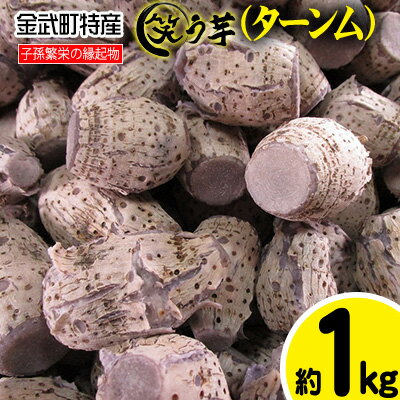 金武町特産「笑う芋」田芋（ターンム） 伝統食材 美味しい 自然 風味 地産 特産品 国産 料理 和食 お気に入り 美味しい ヘルシー 地元愛 懐かしさ 沖縄県 丁寧な栽培 食品 人気 産地直送 送料無料