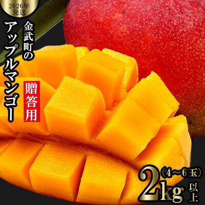 【2026年発送】金武町のアップルマンゴー◆贈答用◆2kg以上（4～6玉） アーウィン 果物 甘い 夏 濃厚 ギフト Mango ランキング 完熟 お気に入り 収穫 人気 甘味 フルーツ 沖縄県 先行予約 食品 デザート 産地直送 送料無料