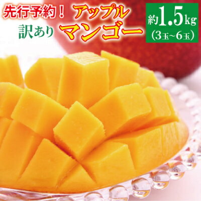 楽天限定【訳あり・ご家庭用】アップルマンゴー（約1.5kg）【先行予約・2026年発送】 〇 マンゴー アップルマンゴー アーウィン ワケアリ 家庭用 訳アリ 沖縄 読谷村 うちなーすぐりむん 地場産品 自宅使い 人気商品 デザート