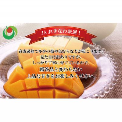 【ふるさと納税】楽天限定【訳あり・ご家庭用】アップルマンゴー（約1.5kg）【先行予約・2026年発送】 〇 マンゴー アップルマンゴー アーウィン ワケアリ 家庭用 訳アリ 沖縄 読谷村 うちなーすぐりむん 地場産品 自宅使い 人気商品 デザート サムネイル3