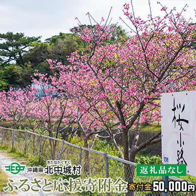 【ふるさと納税】【返礼品なし】沖縄県北中城村ふるさと応援寄附金 50.000円 寄附のみの応援 寄附のみ 返礼品なし 返礼品無し　御礼品なし　御礼品無し 寄附 寄付 応援 支援 沖縄本島 中部地区 世界遺産 中城城跡 サムネイル2