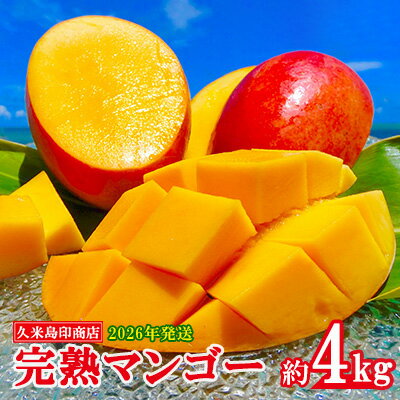 【2026年発送】久米島印商店 完熟マンゴー 約4kg マンゴー フルーツ 果物 デザート 完熟 甘い 濃厚 スムージー アイス プリン ヨーグルト ケーキ 贈り物 贈答 ギフト 人気 リピーター 南国 沖縄 久米島