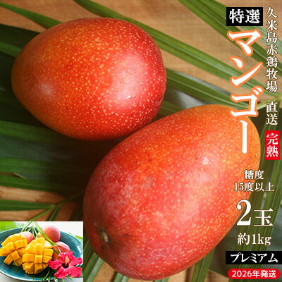 【2026年発送】久米島赤鶏牧場 直送！糖度15度以上「プレミアム」完熟マンゴー 2玉（約1kg） マンゴー 完熟 アップルマンゴー アーウィン 糖度15度 特選品 プレミアム 贈答 贈り物 甘い 濃厚 循環型農業 減農薬栽培 芳醇 爽やか 南国フルーツ ギフト 沖縄