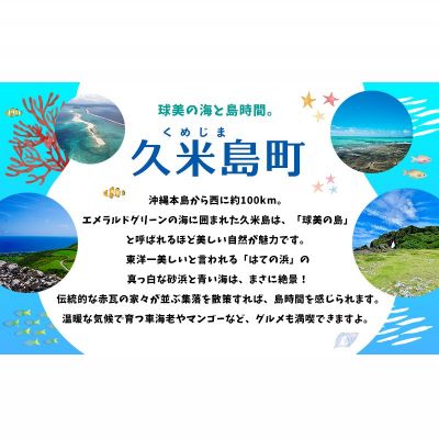 【ふるさと納税】HISふるさと納税クーポン（沖縄県久米島町）15万円分 観光 宿泊 宿泊券 トラベル 旅行 クーポン リゾート ホテル ファミリー ペア ダイビング 沖縄 ビーチ 離島 イーフビーチ はての浜 ウミガメ ホタル 釣り シュノーケル - 画像2