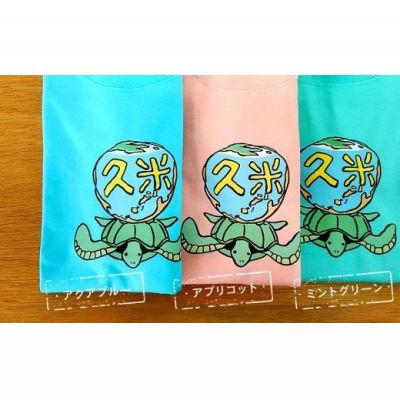 【ふるさと納税】久米島の亀ロゴマークキッズTシャツ（100cm） サムネイル2