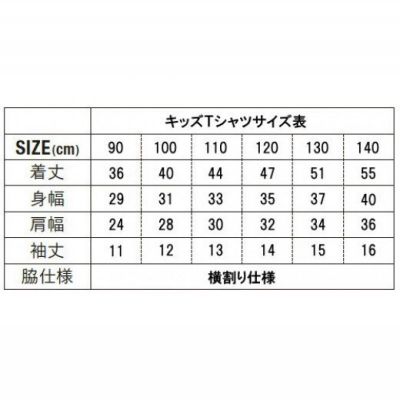 【ふるさと納税】久米島の亀ロゴマークキッズTシャツ（100cm） サムネイル3