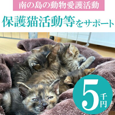 【南の島の動物愛護活動】保護猫活動等をサポート（5千円）- ねこ ネコ 地域猫 保護活動 支援 応援 さくらねこ 動物愛護 保護 里親 寄附のみ 沖縄県 八重瀬町