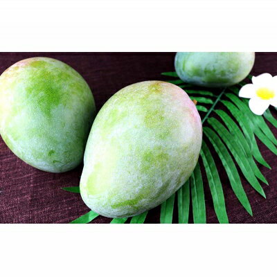 【ふるさと納税】【先行受付】【2026年発送】ヤマト農園 キーツマンゴー約1kg - 産地直送 沖縄産 国産 果物 フルーツ 南国フルーツ 旬の味覚 追熟 先行予約 幻の味 人気 おすすめ 送料無料 沖縄県 八重瀬町 サムネイル3