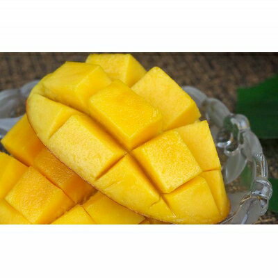 【ふるさと納税】【先行受付】【2026年発送】屋宜原農園が丹精込めた「アップルマンゴー」優約2kg - 先行予約 沖縄県産 産地直送 南国フルーツ 旬の味覚 季節の果物 贈り物 ギフト 沖縄県 八重瀬町 サムネイル3