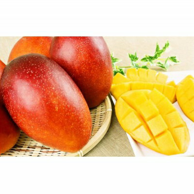 【ふるさと納税】【化粧箱入】【先行受付・2026年発送】神谷ファームのマンゴー（極）約2Kg - 先行予約 沖縄県産 産地直送 南国フルーツ 旬の味覚 季節の果物 贈り物 ギフト 沖縄県 八重瀬町 サムネイル3