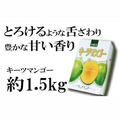 【ふるさと納税】【先行受付】【2026年発送】神谷ファームのキーツマンゴー 約1.5kg - 先行予約 沖縄県産 産地直送 南国フルーツ 旬の味覚 季節の果物 希少種 贈り物 ギフト 沖縄県 八重瀬町 サムネイル3