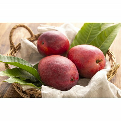 【ふるさと納税】【化粧箱入】【先行受付・2026年発送】渡口ファームのこだわりマンゴー約1kg - 先行予約 沖縄県産 産地直送 南国フルーツ 旬の味覚 季節の果物 贈り物 ギフト 沖縄県 八重瀬町 サムネイル3