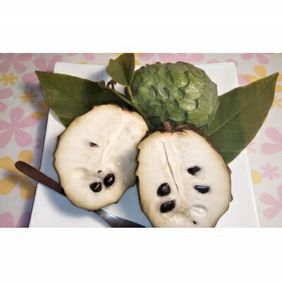 【ふるさと納税】【先行受付】森のアイスクリーム アテモヤ 1kg (沖縄県八重瀬町産) - 先行予約 沖縄 産地直送 南国フルーツ 旬の味覚 旬のフルーツ 沖縄県 八重瀬町 サムネイル2