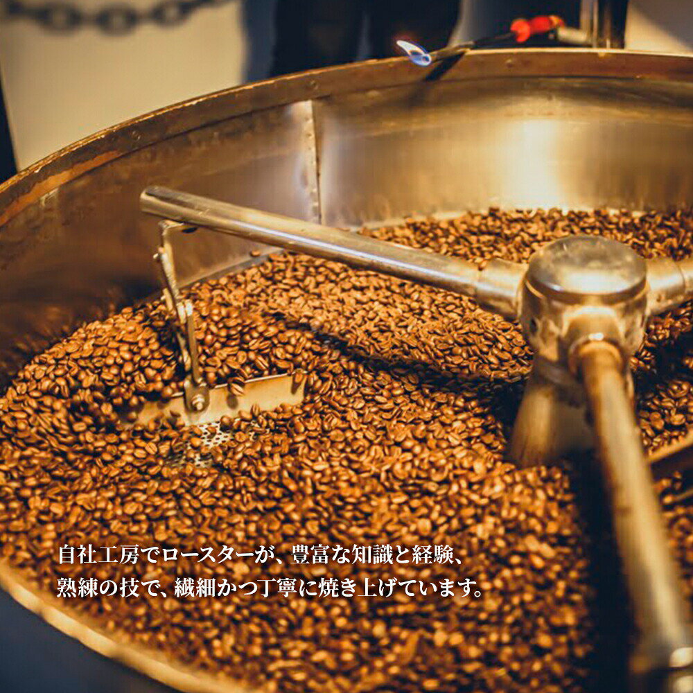 【ふるさと納税】 森彦 コーヒー 森の雫 2種 セット 中深煎り コーヒー豆 ドリップバッグ MORIHICO. 豆 ドリップ 珈琲 詰め合わせ 飲み比べ 北海道 札幌市 - 画像3