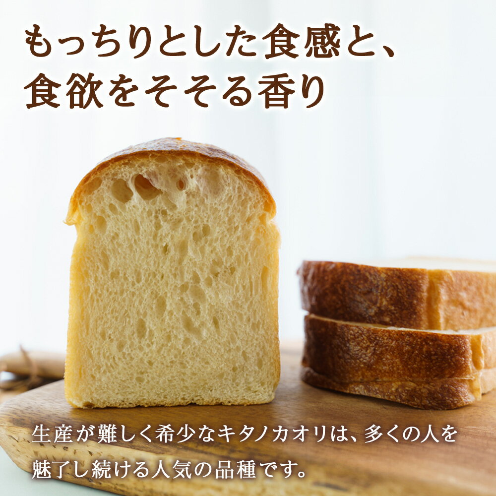 【ふるさと納税】 強力粉 北海道産 小麦 100％ 2.5kg×2 計5kg パン用 小麦粉 パン キタノカオリ小麦 国産 高タンパク 強力小麦粉 製パン材料 菓子パン パン作り ホームベーカリー ハードブレッド バゲット ピザ生地 北海道 札幌市 - 画像2