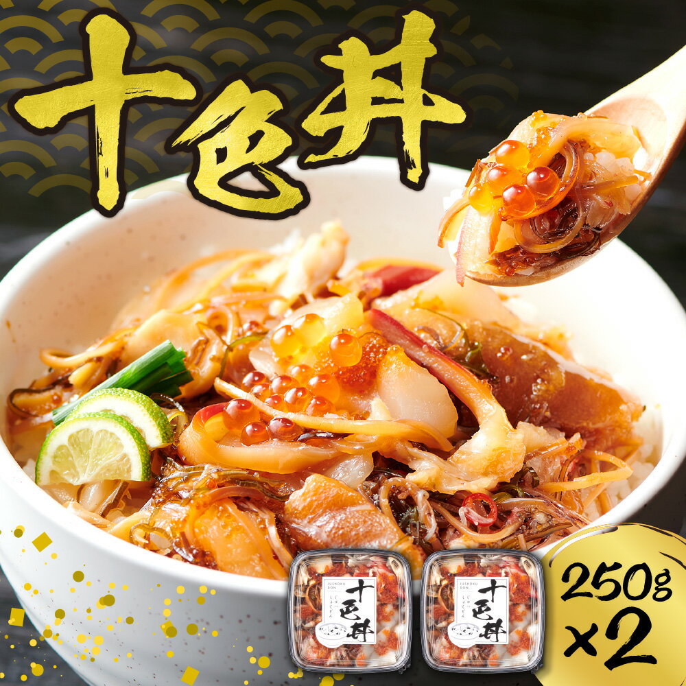 【ふるさと納税】 海鮮丼 十色丼 250g 2個 計500g 3～4杯分 ホタテ ズワイガニ いくら いか 数の子 昆布 とびっこ つぶ貝 北寄貝 帆立 ほたて カニ 蟹 かに イクラ イカ こんぶ 海鮮 魚介 おかず おつまみ 味付き 冷凍 北海道 札幌市