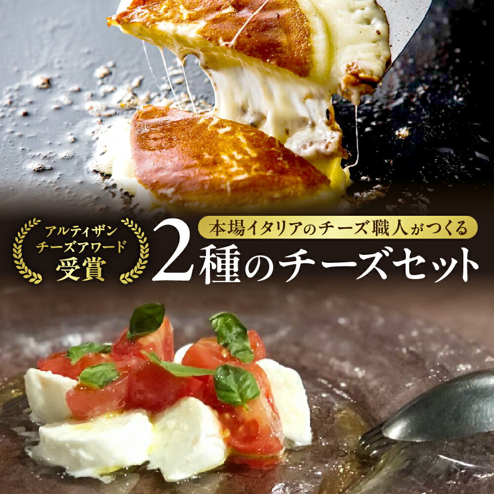 【ふるさと納税】 金賞受賞 ★ ファットリアビオ 北海道 イタリア職人が作る チーズ セット カチョカヴァロ モッツァレラ チーズ 2種 計600g 冷蔵便 ブロック 乳製品 お取り寄せ グルメ 食べ比べ 高評価 北海道 札幌市