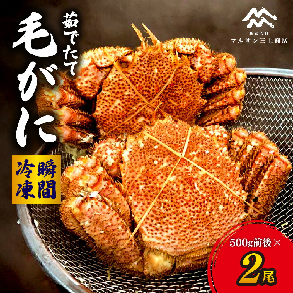 【ふるさと納税】 毛がに 茹でたて 瞬間冷凍 500g 前後 2尾 カニ 毛ガニ 蟹 蟹みそ 毛蟹 グルメ 海鮮 魚介 厳選 お取り寄せ 冷凍 北海道 札幌市