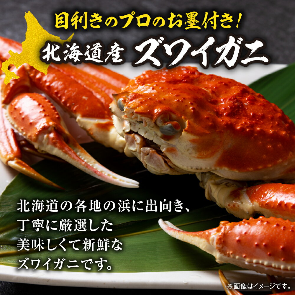 【ふるさと納税】 ズワイガニ 北海道産 茹でたて 瞬間冷凍 650g前後×2尾 ずわいがに 姿 厳選 蟹 カニ 濃厚 ミソ 蟹みそ かに味噌 海鮮 水産 魚介 冷凍 北海道 札幌市 - 画像2