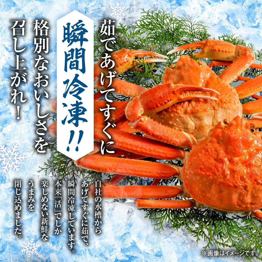 【ふるさと納税】 ズワイガニ 北海道産 茹でたて 瞬間冷凍 650g前後×2尾 ずわいがに 姿 厳選 蟹 カニ 濃厚 ミソ 蟹みそ かに味噌 海鮮 水産 魚介 冷凍 北海道 札幌市 - 画像3