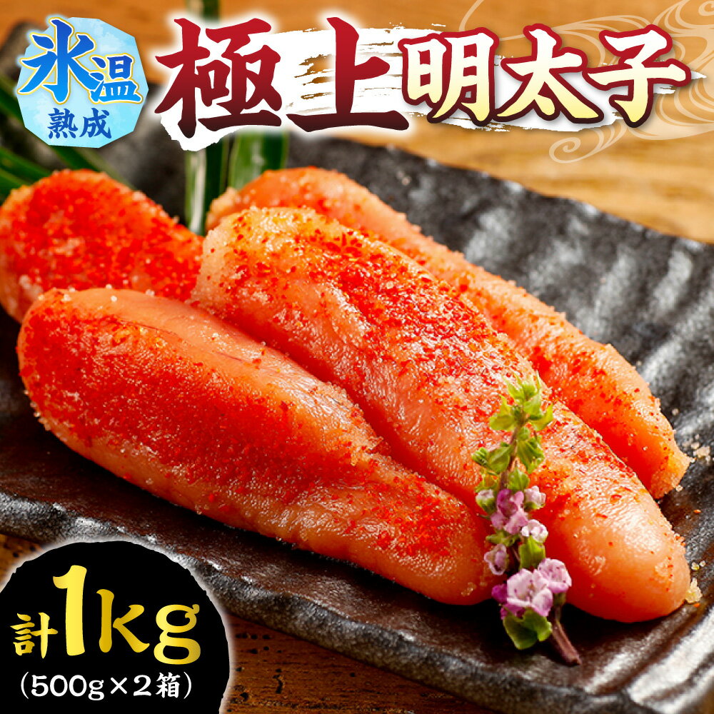 【ふるさと納税】 明太子 500g×2 計1kg 氷温熟成 極上明太子 スケトウダラ 魚卵 高品質 海鮮 魚介 めんたいこ おかず ご飯のお供 おつまみ 冷凍 贈答用 ギフト 贈り物 北海道 札幌市
