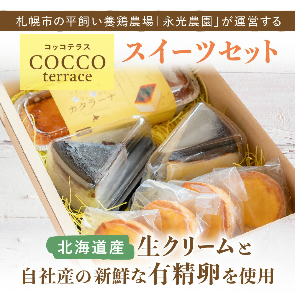 【ふるさと納税】 《高評価★4.50》 北海道産 スイーツ 4種 セット エッグタルト バスクチーズケーキ バスクチーズショコラ カタラーナ 生クリーム 卵 永光農園 コッコテラス デザート 菓子 洋菓子 詰め合わせ 食べ比べ お取り寄せ ギフト プレゼント 贈答 北海道 札幌市 - 画像2