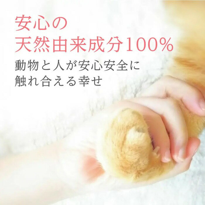 【ふるさと納税】 犬猫と一緒に暮らす人のためのハンドクリーム 60g×3本 ハンドクリーム 犬 猫 ペット 安心 安全 国産 天然由来成分 無添加 敏感肌 乾燥肌 ベタつかない 潤い コンパクトサイズ たっぷり 便利 かわいい プレゼント ギフト 贈答 贈り物 北海道 札幌市 - 画像2