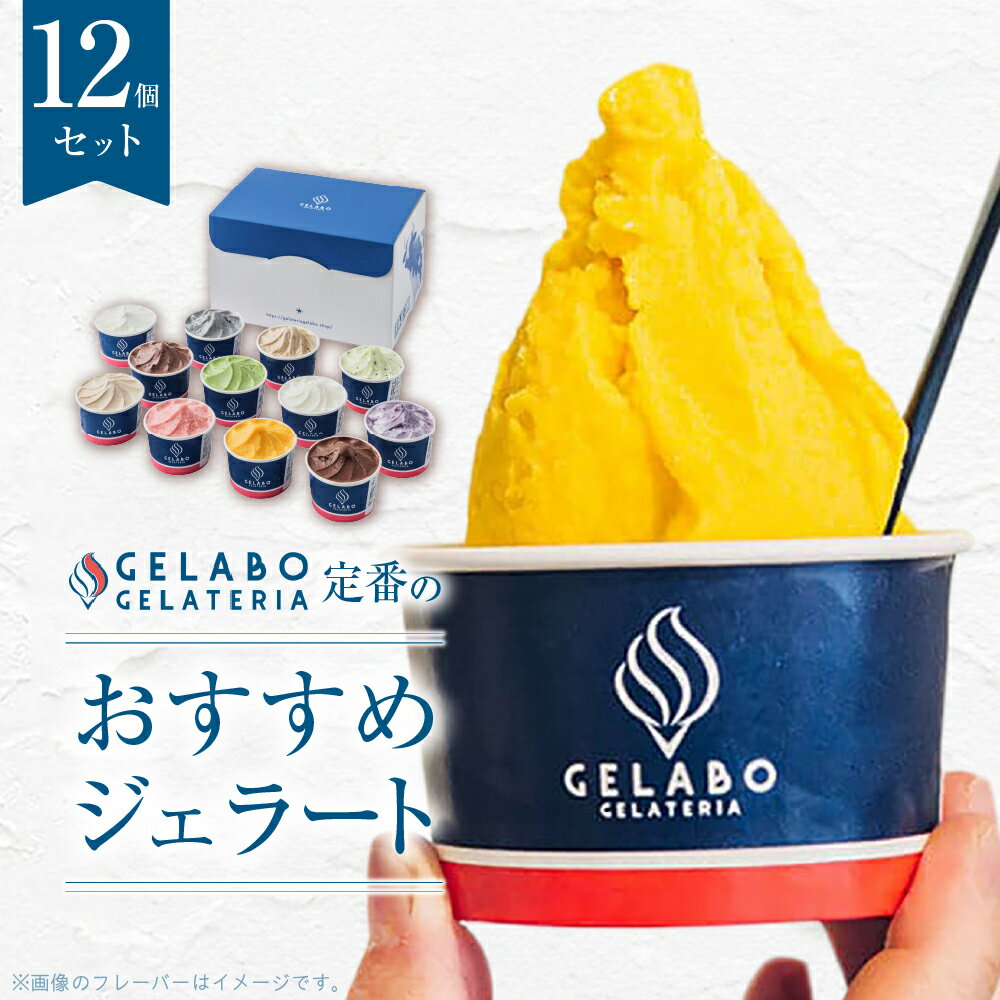 【ふるさと納税】 札幌ジェラート専門店◆ 12種 セット ミルク ショコラ ティラミス マンゴー ブルーベリー チーズ 抹茶 ヨーグルト 黒ゴマだんご つぶあん ミルクティー 生チョコ ジェラート アイス スイーツ デザート 氷菓 食べ比べ ギフト 北海道 札幌市