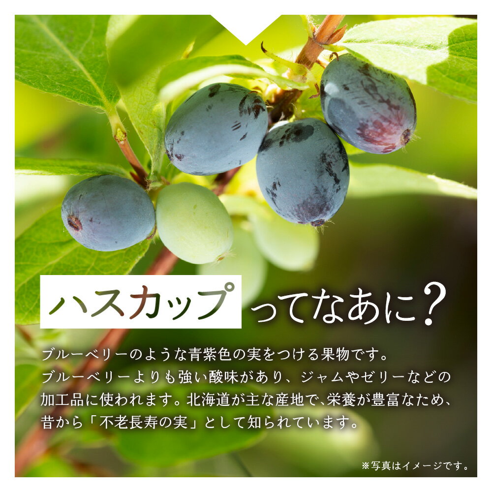 【ふるさと納税】 北海道限定 いろはす ハスカップ 【 選べる 本数 お届け回数 】 540ml PET 24本 48本 定期便 単品 2ヶ月 3ヶ月 い・ろ・は・す 限定 フレーバー ドリンク 飲料 ソフトドリンク 天然水 水 ミネラルウォーター ペットボトル リサイクルペット 北海道 札幌市 - 画像2