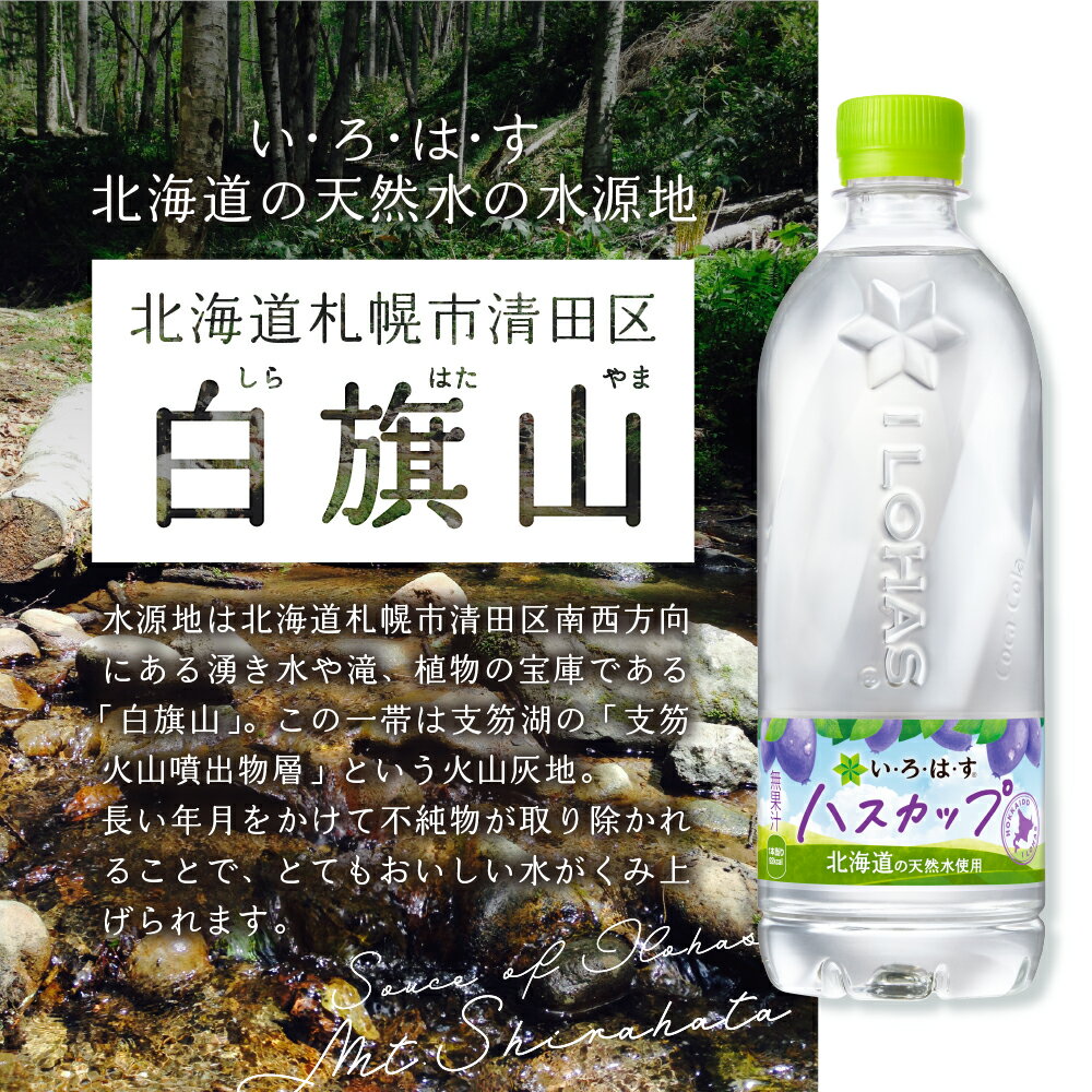 【ふるさと納税】 北海道限定 いろはす ハスカップ 【 選べる 本数 お届け回数 】 540ml PET 24本 48本 定期便 単品 2ヶ月 3ヶ月 い・ろ・は・す 限定 フレーバー ドリンク 飲料 ソフトドリンク 天然水 水 ミネラルウォーター ペットボトル リサイクルペット 北海道 札幌市 - 画像3
