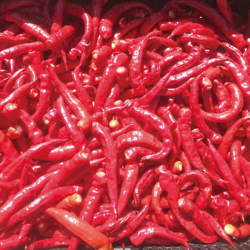 【ふるさと納税】 辛いラーメン14 2食 辛味噌 14倍 北海道産 食材 小麦 特製 スープ 中太ちぢれ麺 コク 旨味 辛さMAX 具材付き 辛い ラーメン 冷凍 北海道 札幌市 - 画像3