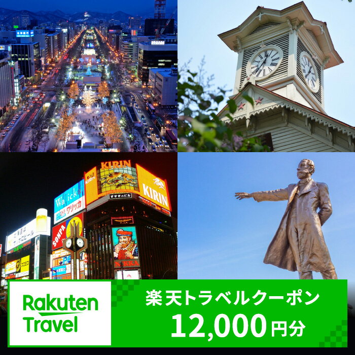 北海道札幌市の対象施設で使える楽天トラベルクーポン 寄付額40,000円 旅行 宿泊 ホテル 旅館 チケット クーポン 12000円分 北海道 札幌市 トラベル 観光 ビジネス 出張 旅行券 国内旅行 予約 宿泊券 rakuten 北海道 札幌市