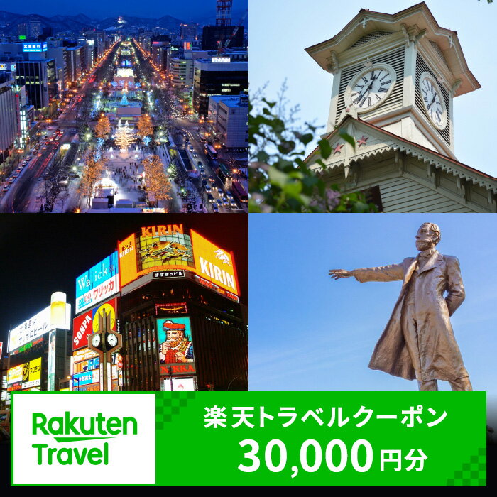 北海道札幌市の対象施設で使える楽天トラベルクーポン 寄付額100,000円 旅行 宿泊 ホテル 旅館 チケット クーポン 30000円分 トラベル 観光 ビジネス 出張 旅行券 国内旅行 予約 宿泊券 rakuten 北海道 札幌市